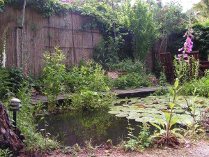 waterrijke tuin